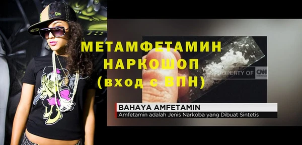 сатива Куйбышев