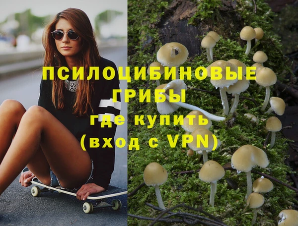 твердый Кулебаки
