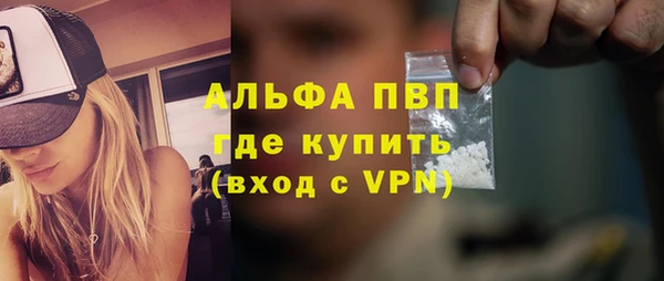 сатива Куйбышев