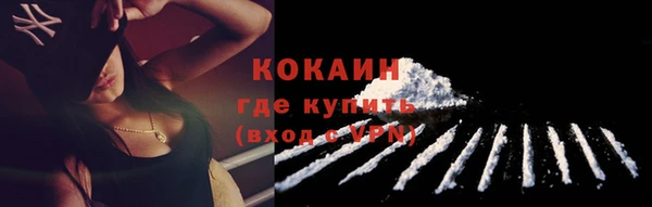 твердый Кулебаки