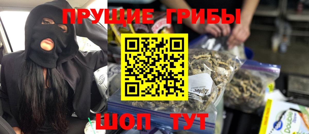 Галлюциногенные грибы Cubensis  Вход с VPN  Михайловка 